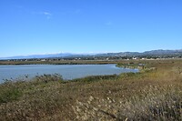 De Ebro delta