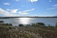 De Ebro delta