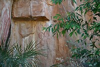 Rock Art