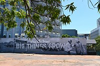 prachtige street art