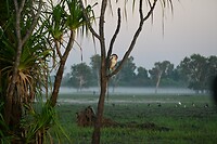 Kakadu NP