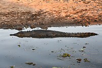 Kakadu NP