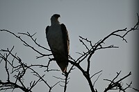 Kakadu NP