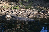 Kakadu NP