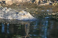 Kakadu NP