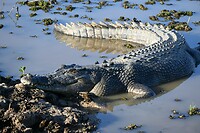 Kakadu NP