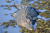 Kakadu NP