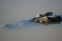 Kakadu NP