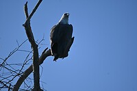 Kakadu NP