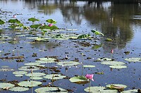 Kakadu NP