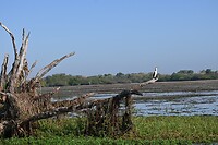 Kakadu NP