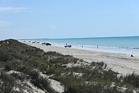 vissen vanaf het strand