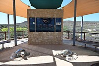 Jurabi turtle centre