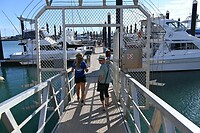 whale watch gaat beginnen