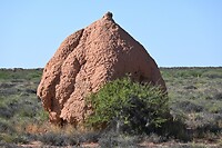 Termieten berg