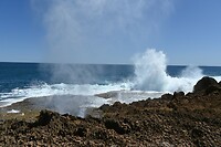 blowholes