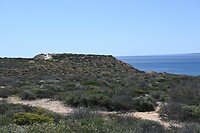 red bluff lookout point