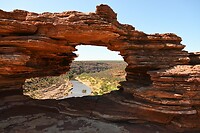 Nature's Window