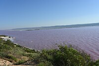Pink Lake