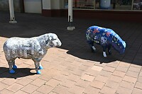 de beshilderde schapen