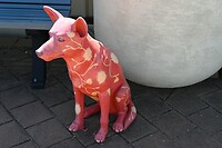 beeld van een catle dog