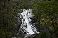 De waterval
