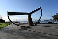Whale Tail in Esperance
