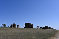 laatste Murphys Haystacks