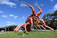 Een flinke lobster