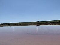 Pink lake volgens Hennie :-))