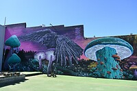 streetart
