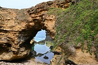 De Grotto
