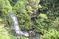 Erskine Falls