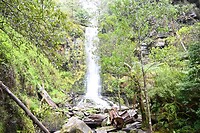 Erskine Falls