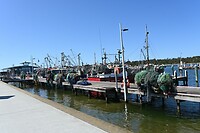 hier wordt nog echt op zee gevist.