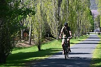 redelijk goede fietsen