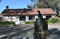 the dog on the tuckerbox