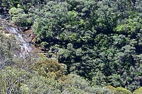 wentworth Falls