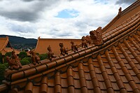 mooie daken op de tempel