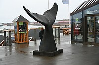 Húsavík, IJsland