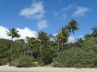 Cape Hillsborough
