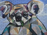 Wandschildering. Alles draait hier om koala's