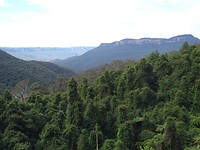 Blue Mountains N.P