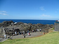 wachten op de spuiter in de blowhole die niet komt. De zee is veel te rustig