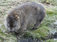 en hij wilde gewoon graag op de foto
