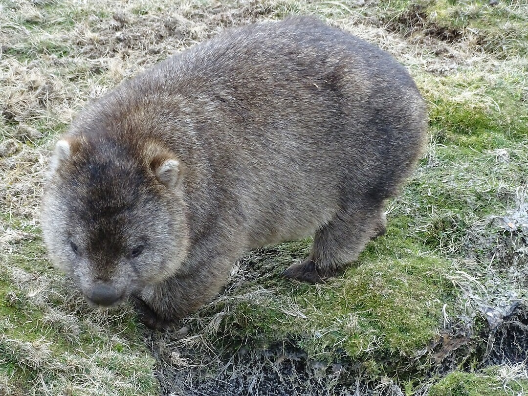 en hij wilde gewoon graag op de foto