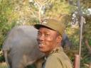 Ranger vindt Olifant in Mole