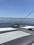 IMG_8254
