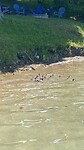 IMG_1273