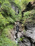 IMG_1688